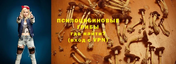 круглые Богородицк