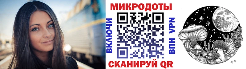Псилоцибиновые грибы Psilocybe  наркошоп  мориарти какой сайт  Липецк 